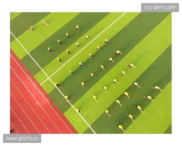 乐冠体育：推动全民健身运动普及的行业领军企业