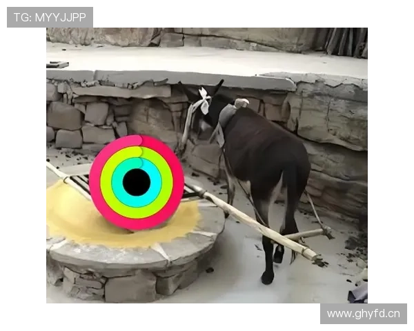 乐鱼在线官方平台游戏种类介绍,丰富多样的娱乐项目满足不同需求 乐鱼在线官方平台游戏种类介绍,丰富多样的娱乐项目满足不同需求