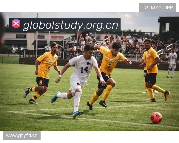 乐鱼综合体育官网引领行业潮流，打造最专业的体育赛事直播与互动娱乐平台