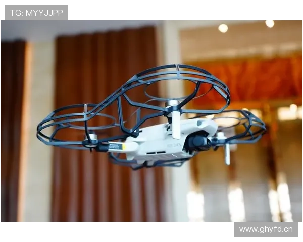 乐鱼体育真人国际平台操作流程详解，新手也能轻松上手快速入门