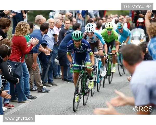 乐鱼平台冠名大巴黎带来的行业影响，推动体育与娱乐产业的深度融合